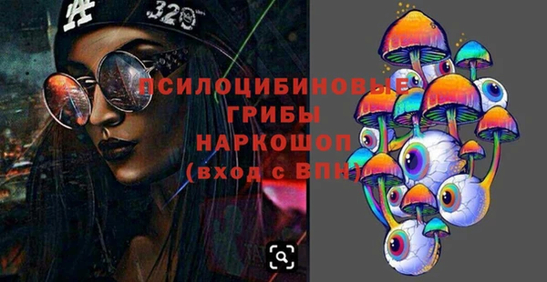 ПСИЛОЦИБИНОВЫЕ ГРИБЫ Верхнеуральск